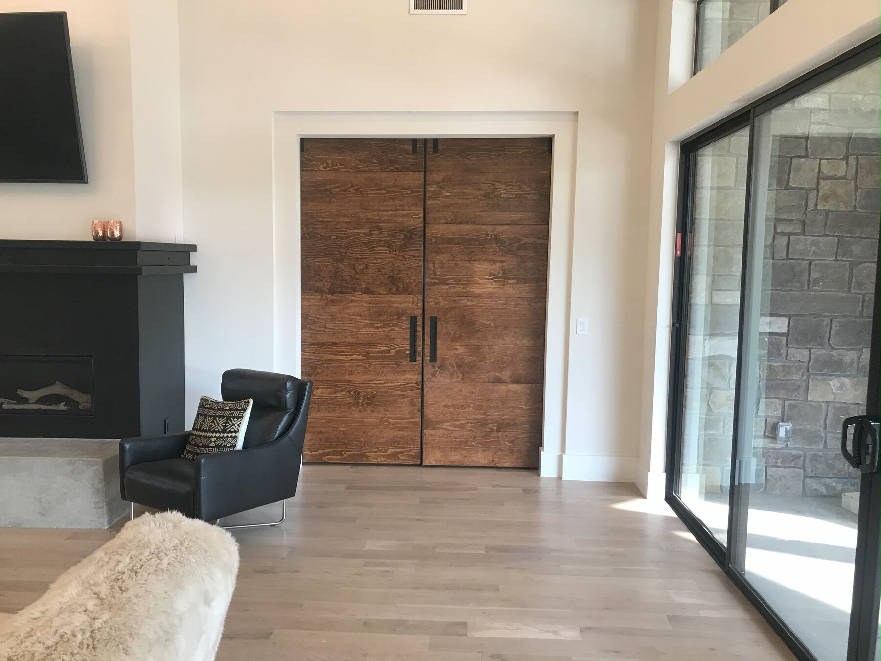 Barn Doors project image 1
