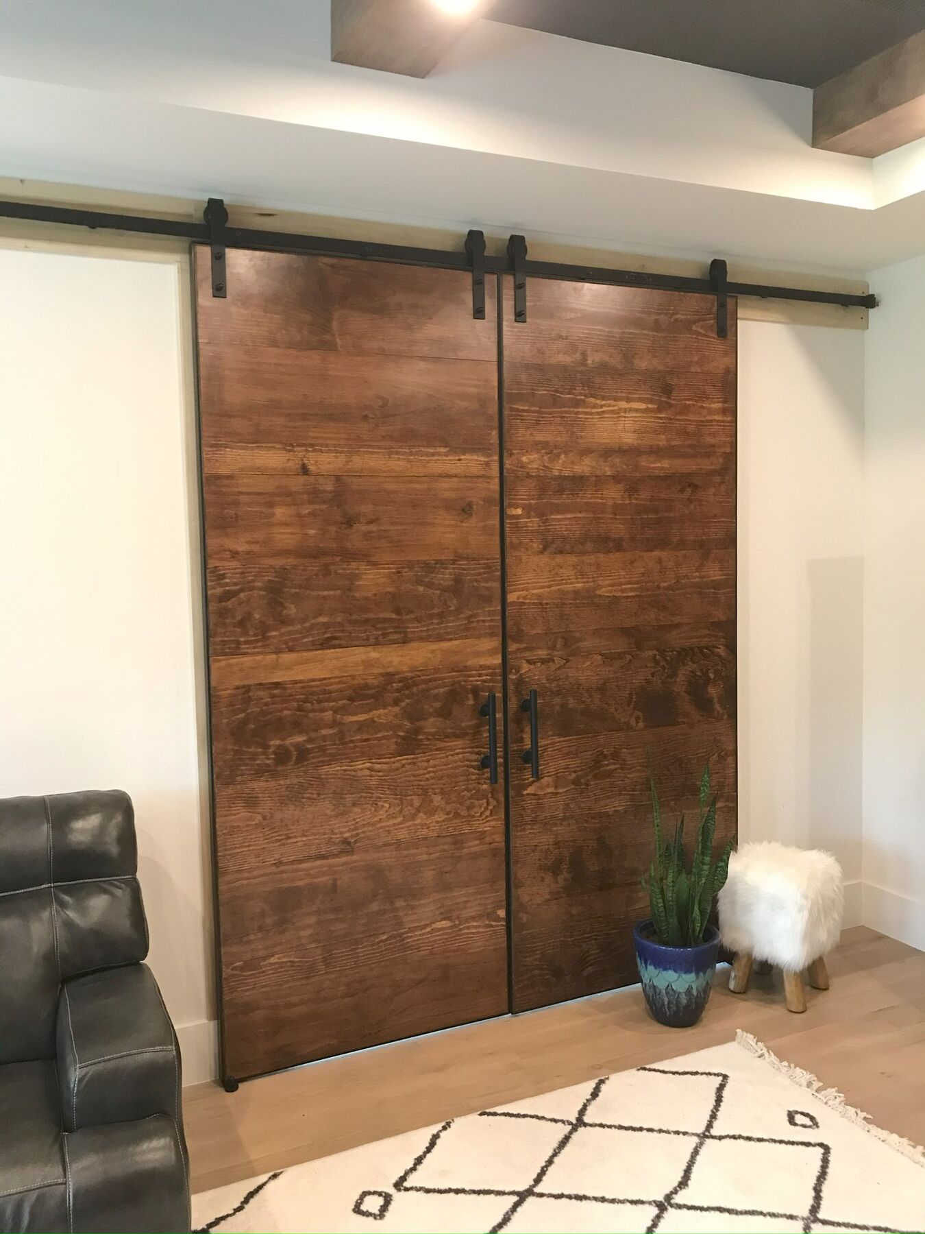 Barn Doors project image 4